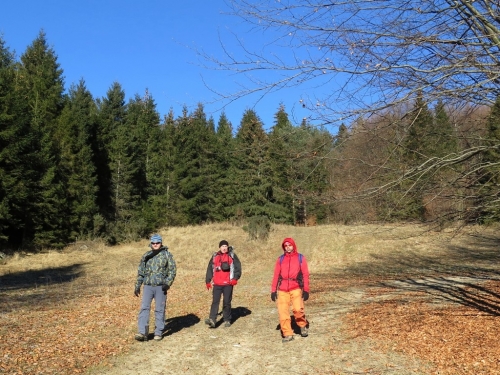 201601021036530.img-0701