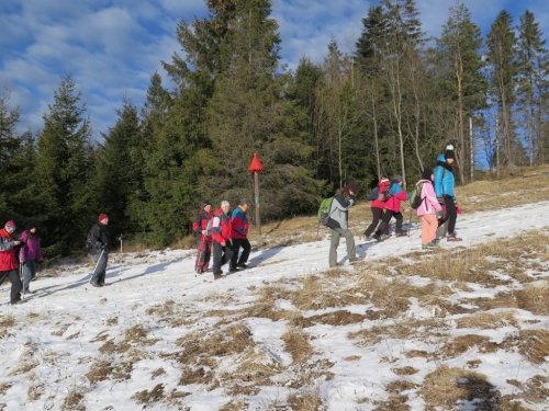 201601121135590.img-1205