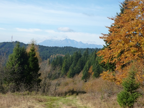 201910251447280.p1070112