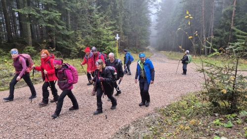 202511111543500.20251108-111553