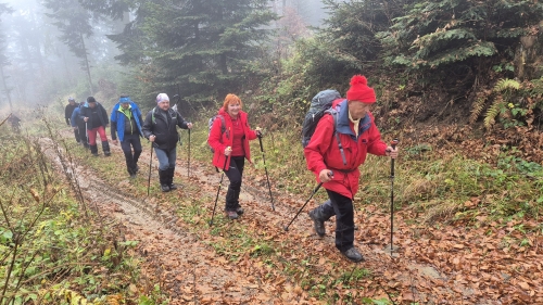 202511111543500.20251108-113321