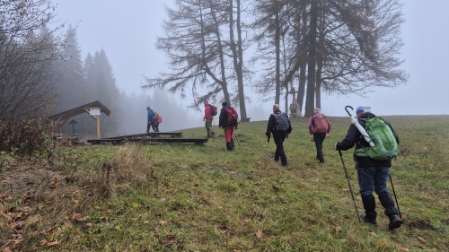 202511111543500.20251108-114135