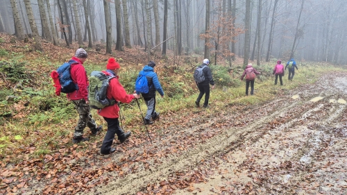 202511111543500.20251108-122603