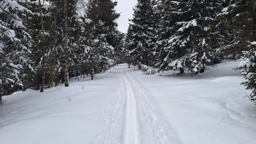 202601131442210.20260110-111715