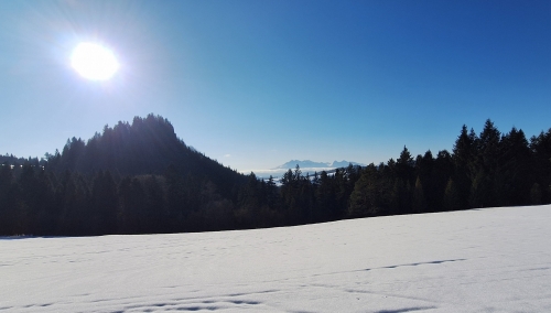 202601201353570.20260117-123023