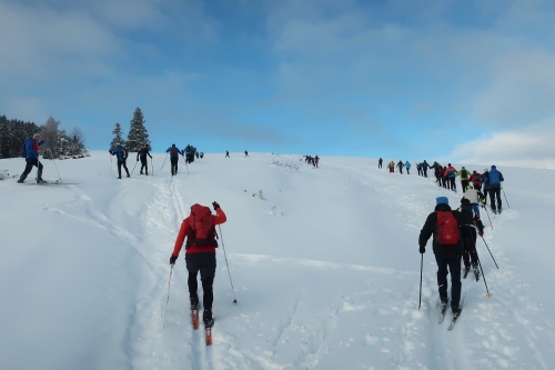 202601201353570.img-5972