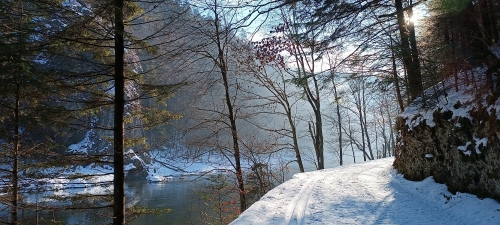 202601201353580.1768852288759