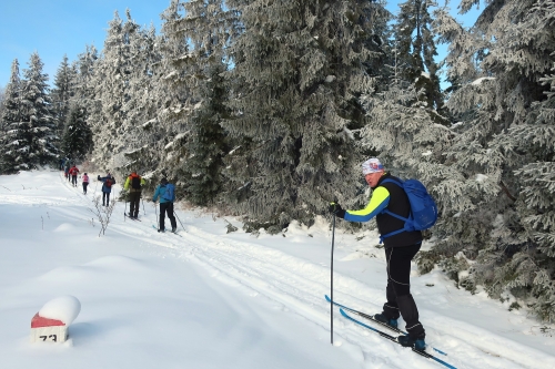 202601201353580.img-5983