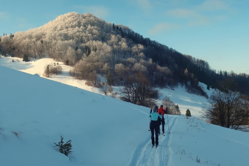 202601201353580.img-5985