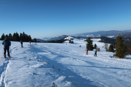 202601201353580.img-5997