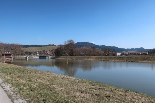 Zvir