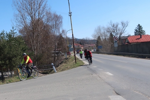 Zvir