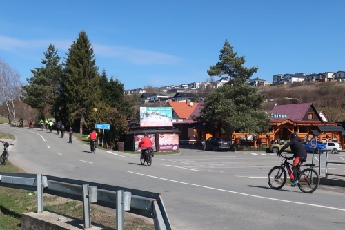 Zvir