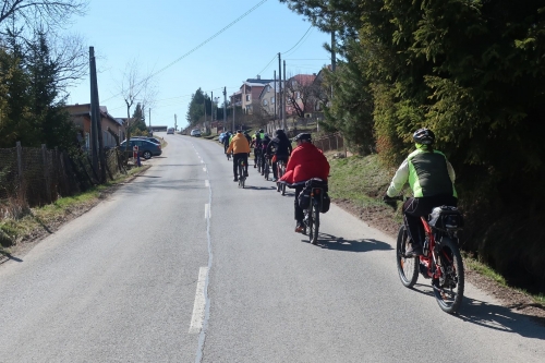 Zvir