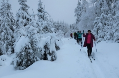 Prejazd Pieninami - 22.1.2023