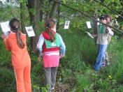 Preteky turistickej zdatnosti - okresné kolo - 22.5.2008
